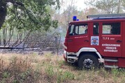 Így égett az erdő alja Sikátoron-2