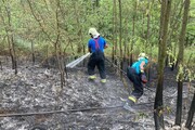 Így égett az erdő alja Sikátoron-4