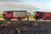 Így égett az erdő alja Sikátoron-6
