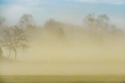 A száraz talajfelszín és a viharos szél együttese könnyen porvihart idézhet elő, erről kép a Bakonyaljáról.-6