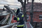 Fakidőléshez és tető sérüléshez riasztották a Hegyeshalom Nagyközségi Önkéntes Tűzoltó Egyesület tagjait is. Fotó: Hegyeshalom Nagyközségi Önkéntes Tűzoltó Egyesület-4